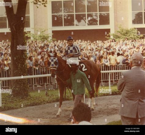 secretariat belmont stakes 1973|1973 Belmont Stakes .